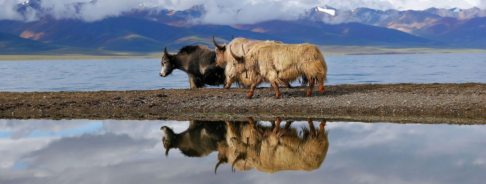 Form Shanghai To Tibet Tour