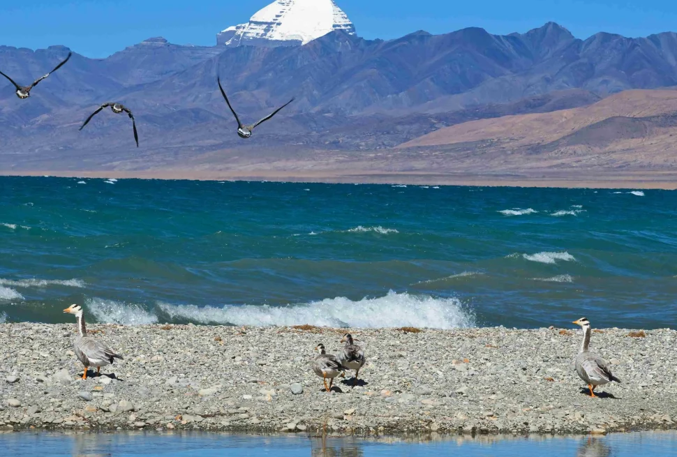 Manasarovar-lake-with-Mt-Kailash-on-the-background