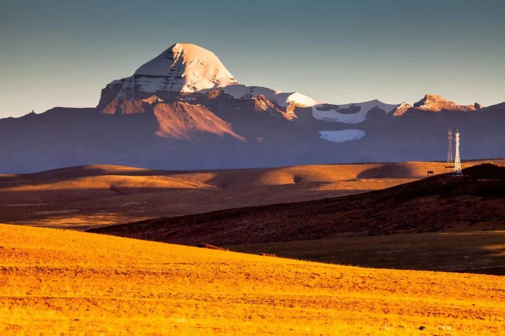 Golden fields in front of Mount Kailash at sunset
