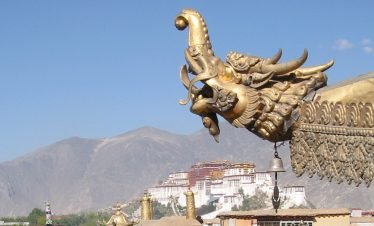 lhasa