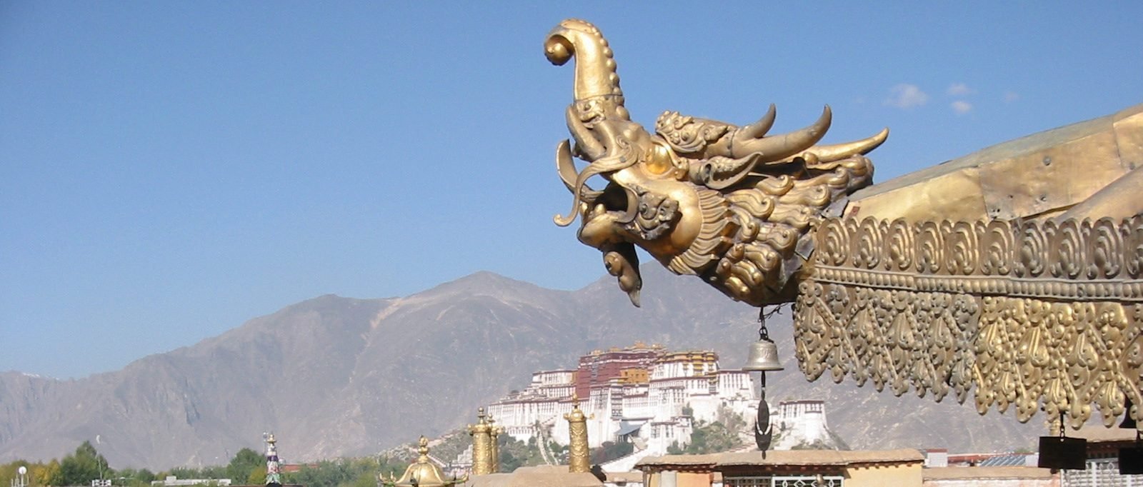 lhasa