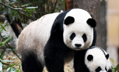 15 days Chengdu to Lhasa Overland Tour