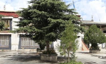 Xizang Health Care Tour