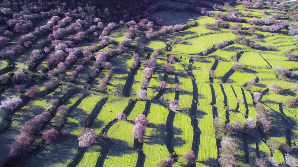 Nyingchi