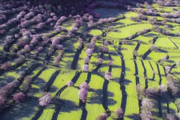 Nyingchi