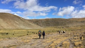 On the road from Chubu Temple to Yangbajing
