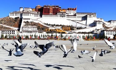 Majestic Potala Palace