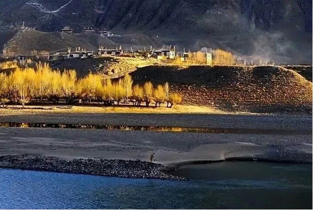 ENJOYING THE GOLDEN FALL IN CHAMDO