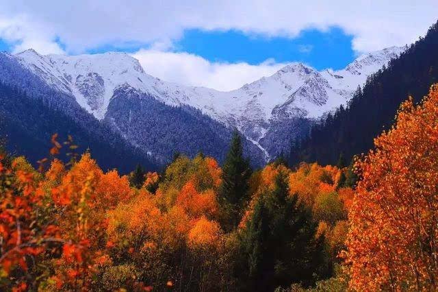 NAMCHA BARWA TREKKING TOUR IN NYINGCHI