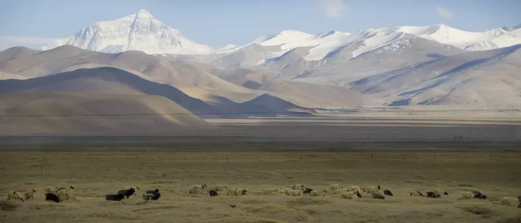 tingri plain